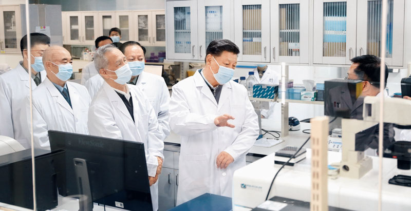 ylzz总站线路检测中心