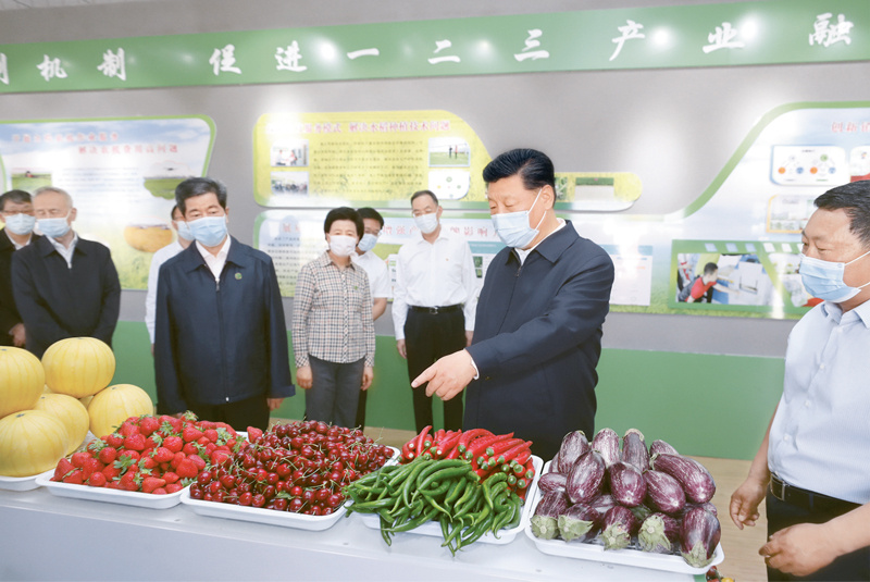 ylzz总站线路检测中心