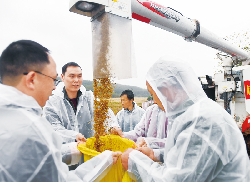 ylzz总站线路检测中心